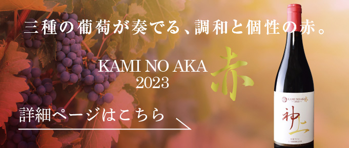 上の赤2023