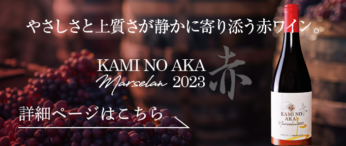 上の赤マルセラン2023