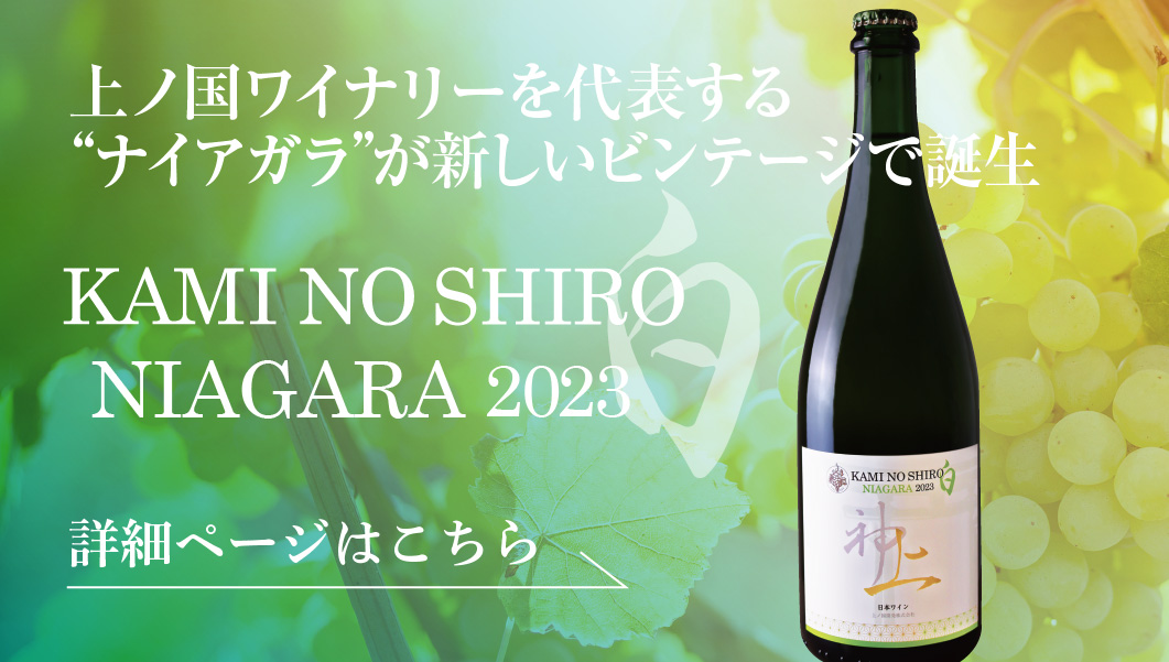 上の白ナイアガラ2023