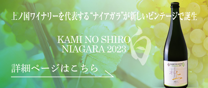 上の白ナイアガラ2023